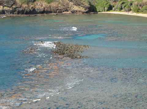 View of Bay from trail in Oahu